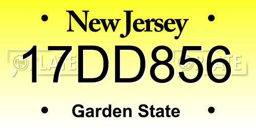 17DD856 New Jersey License Plate