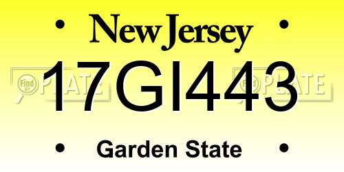 17GI443 New Jersey License Plate