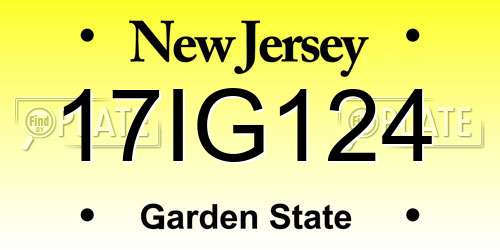17IG124 New Jersey License Plate