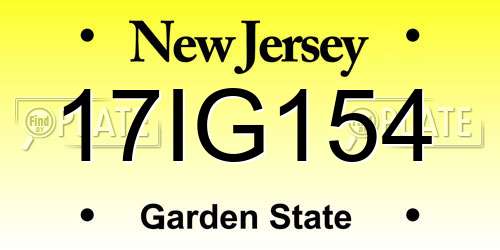 17IG154 New Jersey License Plate
