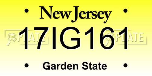 17IG161 New Jersey License Plate