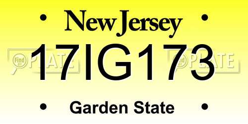 17IG173 New Jersey License Plate