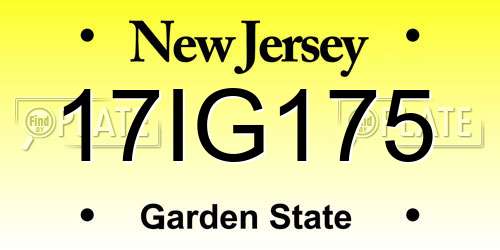 17IG175 New Jersey License Plate