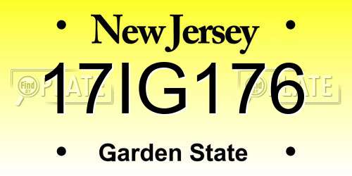 17IG176 New Jersey License Plate