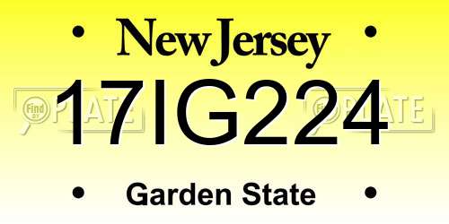 17IG224 New Jersey License Plate