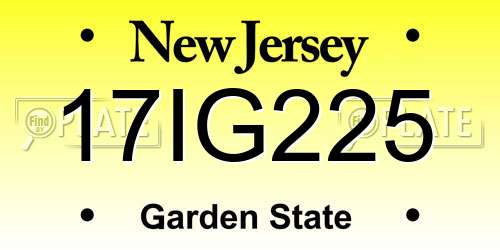 17IG225 New Jersey License Plate
