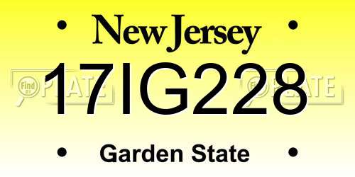 17IG228 New Jersey License Plate
