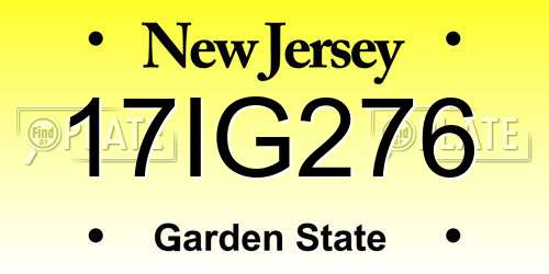17IG276 New Jersey License Plate