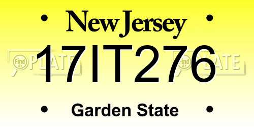 17IT276 New Jersey License Plate
