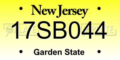 17SB044 New Jersey License Plate