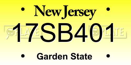 17SB401 New Jersey License Plate