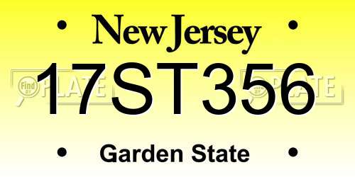 17ST356 New Jersey License Plate