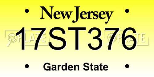17ST376 New Jersey License Plate