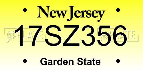 17SZ356 New Jersey License Plate