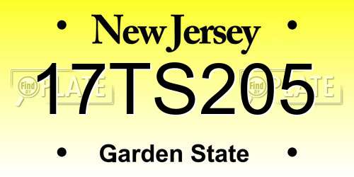 17TS205 New Jersey License Plate