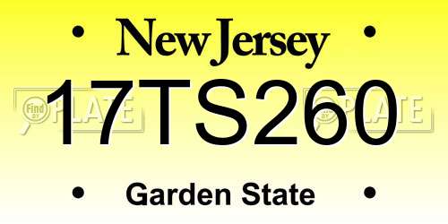 17TS260 New Jersey License Plate