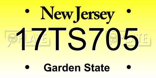 17TS705 New Jersey License Plate