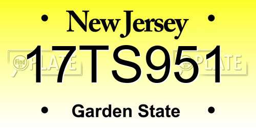 17TS951 New Jersey License Plate