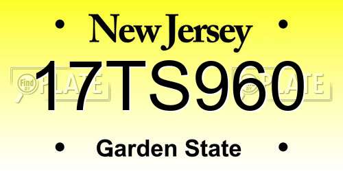 17TS960 New Jersey License Plate