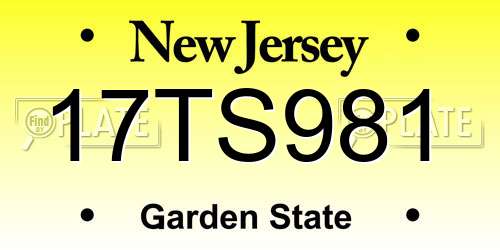 17TS981 New Jersey License Plate