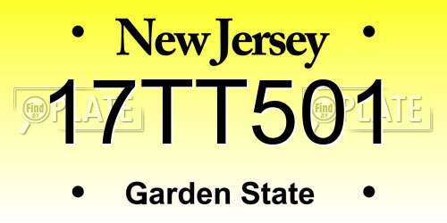 17TT501 New Jersey License Plate