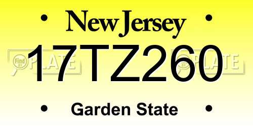 17TZ260 New Jersey License Plate