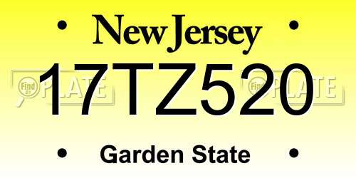 17TZ520 New Jersey License Plate