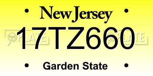 17TZ660 New Jersey License Plate