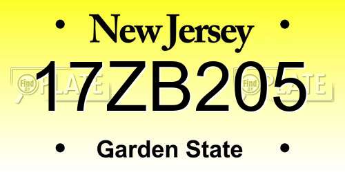 17ZB205 New Jersey License Plate