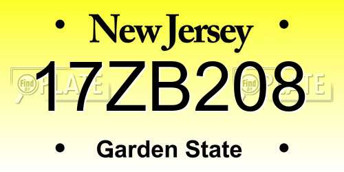 17ZB208 New Jersey License Plate