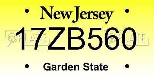 17ZB560 New Jersey License Plate