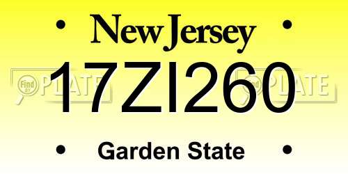 17ZI260 New Jersey License Plate