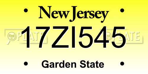 17ZI545 New Jersey License Plate