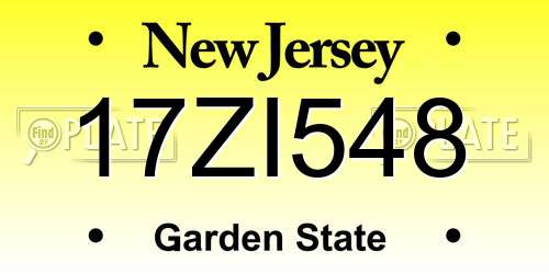 17ZI548 New Jersey License Plate