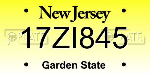 17ZI845 New Jersey License Plate
