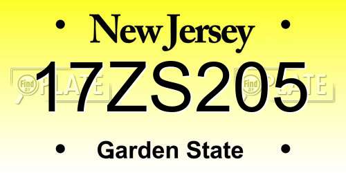 17ZS205 New Jersey License Plate