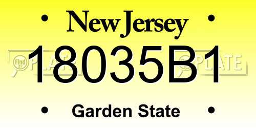 18035B1 New Jersey License Plate