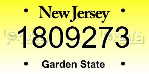 1809273 New Jersey License Plate