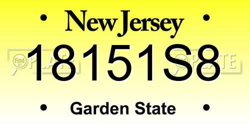 18151S8 New Jersey License Plate