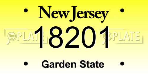 18201 New Jersey License Plate