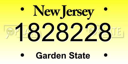 1828228 New Jersey License Plate