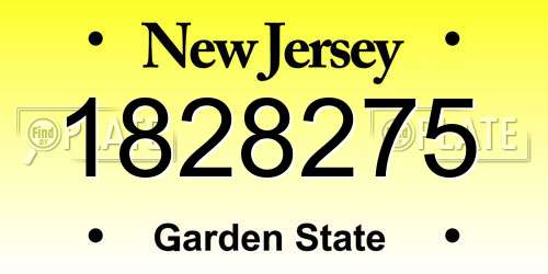1828275 New Jersey License Plate