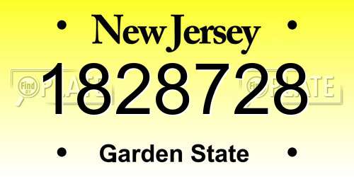 1828728 New Jersey License Plate