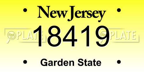18419 New Jersey License Plate