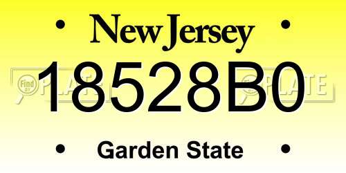 18528B0 New Jersey License Plate