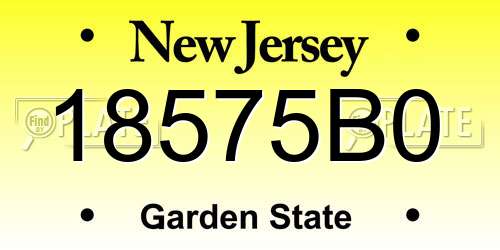18575B0 New Jersey License Plate