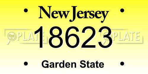 18623 New Jersey License Plate