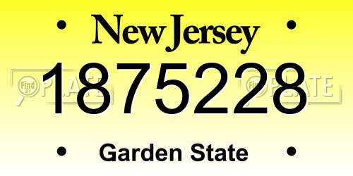 1875228 New Jersey License Plate