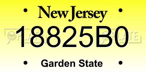 18825B0 New Jersey License Plate