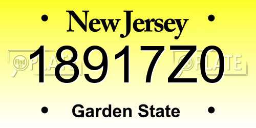 18917Z0 New Jersey License Plate